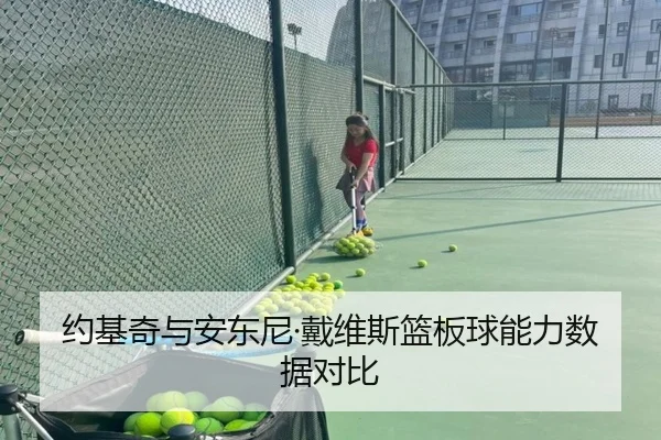 约基奇与安东尼·戴维斯篮板球能力数据对比 - 8868sports